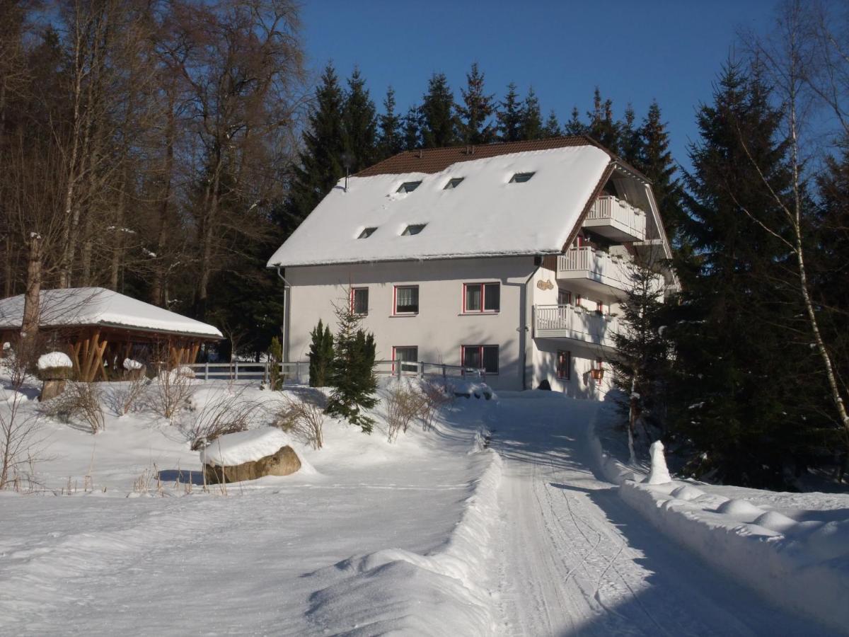 Ferienhaus Hubertus In Elend Mit Balkons Екстериор снимка