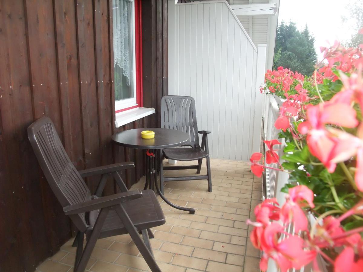 Ferienhaus Hubertus In Elend Mit Balkons Екстериор снимка